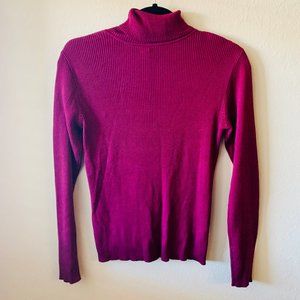 Silk Ann Taylor Loft Turtleneck